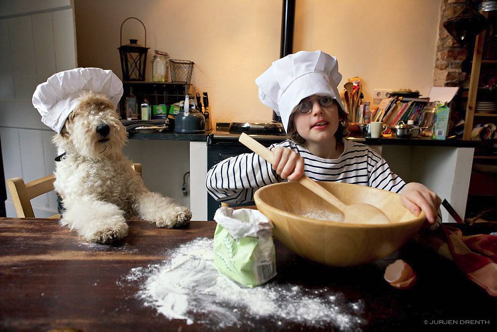 NETHERLANDS. BOY WHO WANTS TO BE A COOK, WITH ASSISTANT